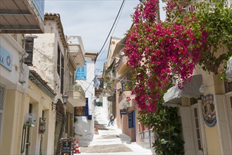 Narrow alley in Mediterranean town with traditional houses and pink flowers under blue sky, Poros,