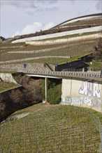 Vineyard terraces and the main road 12 towards Jongny in the Lavaux vineyard terraces UNESCO World