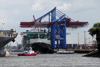 Container terminal with cranes and a moored cargo ship in the harbour, Hamburg, Hanseatic City of