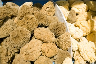 Natural sponges, Rhodes, Greece, Europe