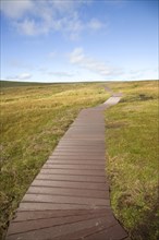 Footpath walkway, Hermaness, Unst, Shetland Islands, Scotland, United Kingdom, Europe
