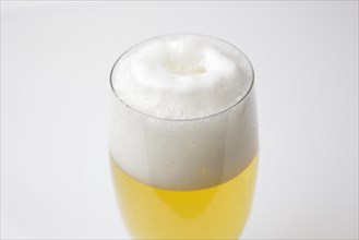 Freshly tapped beer with a head of foam in the beer glass, 07.12.2016