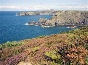 Coastal scenery near Trefin, Pembrokeshire Coast national park, Wales, United Kingdom, Europe