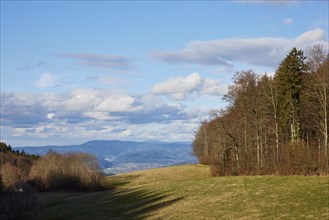 Winter landscape in the Black Forest with trees, milky blue sky and hazy distant view near