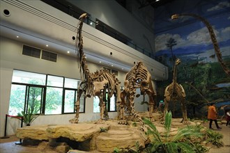 Zigong Dinosaur Museum, china