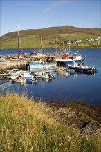 Fishing boats harbour Voe, Shetland Islands, Scotland, United Kingdom, Europe