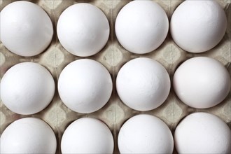 White eggs in an egg carton, 14/03/2015