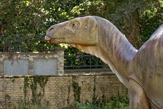 Dinosaur Iguanodon, iguana tooth, life-size replica in the garden in front of Hermann Hoffmann