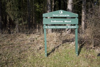 Forest Enterprise sign at Forestry Commission woodland, Sudbourne wood, Suffolk, England, United
