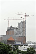 Elbe Philharmonic Hall, Construction cranes in front of a skyscraper under construction against a