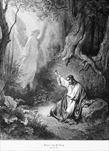 Jesus on the Mount of Olives, Gospel of Luke, chapter 22, Jerusalem, angel, forest, rock, pray,