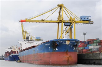 Older freighter loaded with containers next to a yellow harbour crane, Hamburg, Hanseatic City of
