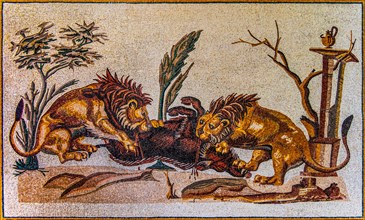 Lions attacking a wild boar, mosaic copy, Casa della Processione, El Jem, 2nd century, mosaic