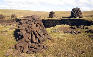 Peat cutting trenches, near Mid Walls, Mainland, Shetland Islands, Scotland, United Kingdom, Europe