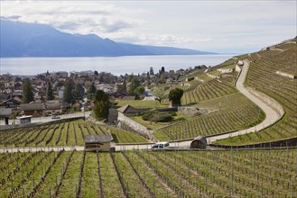 Roads and terraces for winegrowing in the UNESCO World Heritage vineyard terraces of Lavaux with a