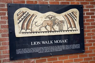 Roman remains, Lion Walk Mosaic, Colchester, Essex, England, UK