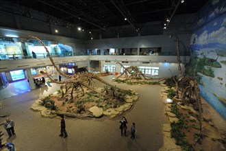 Zigong Dinosaur Museum, china