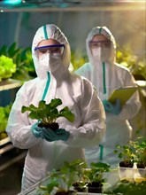 Biologists in protective suits grow vegetables in the lab, the concept of biotechnology, plant care