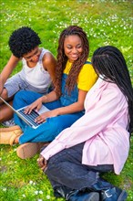 Vertical top view photo of three young african women using laptop sitting on a park
