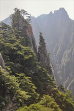 Huang shan, yellow mountain, china