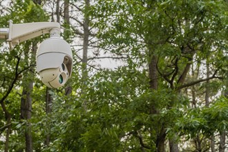 Surveillance camera in woodland public park with trees in background in South Korea