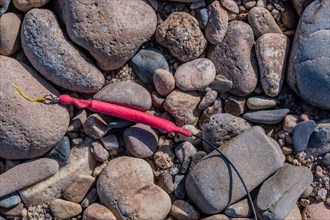 A pink fishing line abandoned among rocks and pebbles, in South Korea