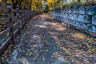 A deserted trail with scattered autumn leaves, accompanied by a fence and stone wall, in South