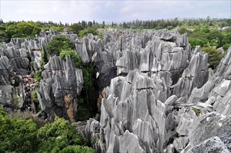 Shilin stone forest, china