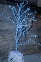 An artificial silver tree illuminated and decorated to resemble frost, set against a wooden
