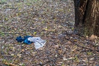 Abandoned clothing littering the forest floor amidst fallen leaves, in South Korea