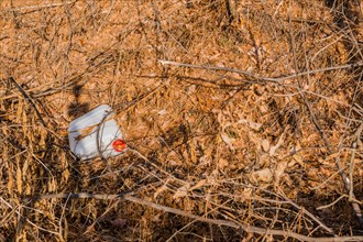 A white bucket with a red label lies abandoned in brushwood, symbolizing neglect, in South Korea