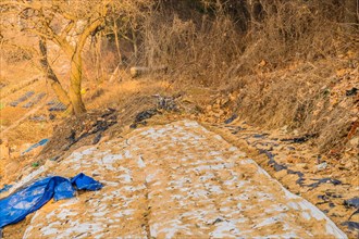 A neglected rural path littered with leaves and blue plastic, in South Korea