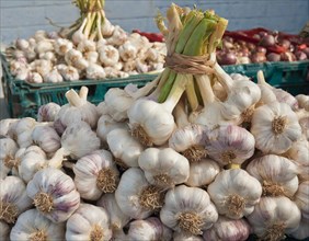Food, spices, garlic, Allium sativum, many bulbs on a market stall, AI generated, AI generated