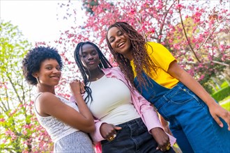 Three african young woman posing next to cherry tree in a park