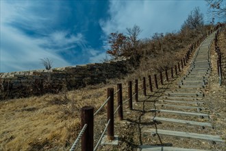 Wooden stairs up side of mountain next to section of mountain forest wall made of flat stones