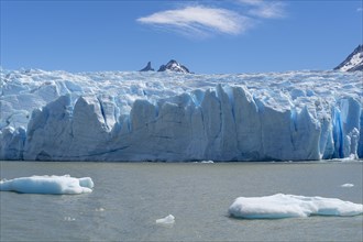 Glacier, floating ice, Lago Grey, Torres del Paine National Park, Parque Nacional Torres del Paine,
