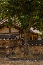 Tree growing in front of Korean style wall of stone, mortar and ceramic tiles in public park