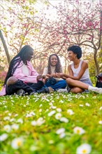 Vertical ground perspective of three african young female friends enjoying beauty spring day in the