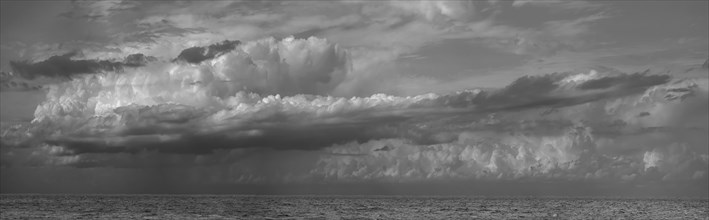 Cumulus cloud (Cumulus) over the Baltic Sea, Kuehlungsborn, Mecklenburg-Western Pomerania, Germany,
