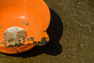 An orange plastic container, cracked and lying on muddy surface with its shadow, in South Korea