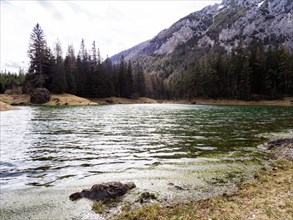 Green lake on a cloudy day, Tragoess, Styria, Austria, Europe