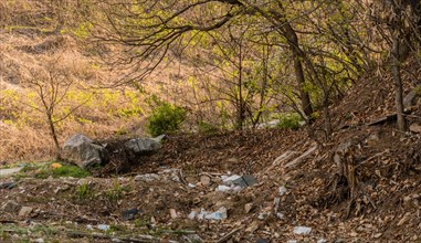 A natural environment littered with garbage beneath a tree, in South Korea