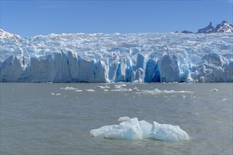 Glacier, Lago Grey, floating ice, Torres del Paine National Park, Parque Nacional Torres del Paine,
