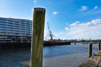 Crane facilities in the Port of Hamburg, Hanseatic City of Hamburg, Hamburg, Germany, Europe