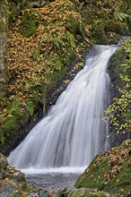 Waterfall in the autumnal Endert valley, Moselle, Rhineland-Palatinate, Germany, Europe