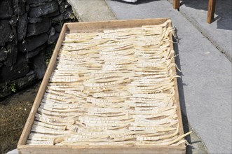 Dried bamboo, china