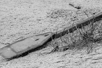 Blank and white of old discarded discarded wooden oar laying in sand next to dry grass in South