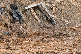 A broken wooden frame lies in dry brush, suggesting neglect and littering, in South Korea