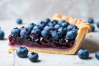 Single slice of blueberry fruit tart. KI generiert, generiert, AI generated