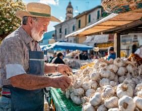 Food, spices, garlic, Allium sativum, many bulbs on a market stall in Italy, old man as seller, AI